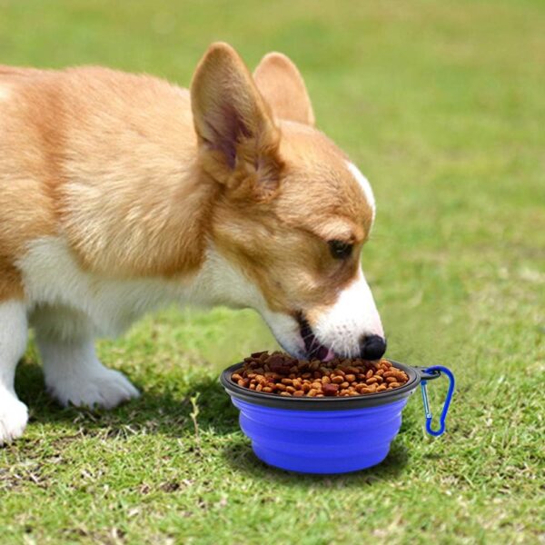 Dog Bowl Pet Collapsible Bowls - Image 4