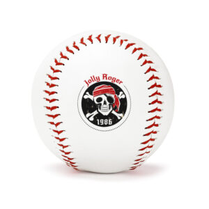 Custom Sports Training Baseball