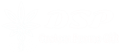 cropped-WhiteDSP.png