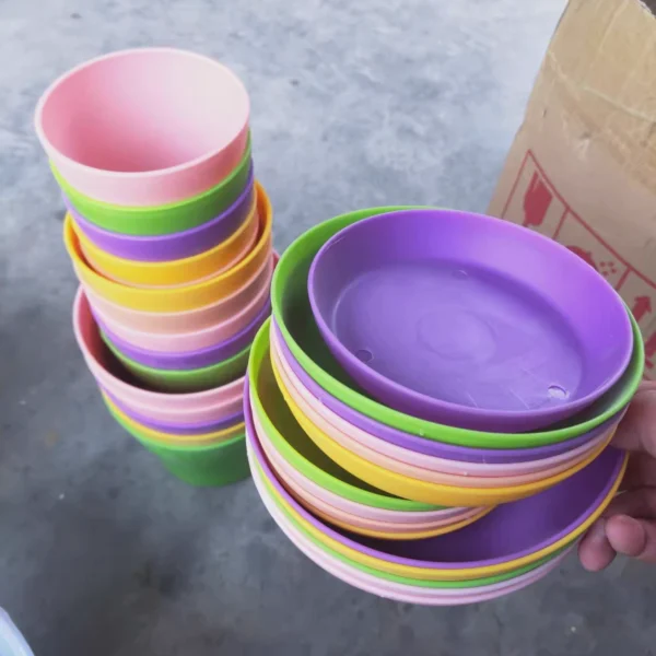 Mini Plastic Plant Pot With Saucers - Image 7